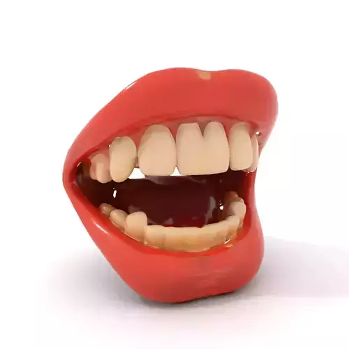 Realistic Human Mouth model pack Low-poly 3D model