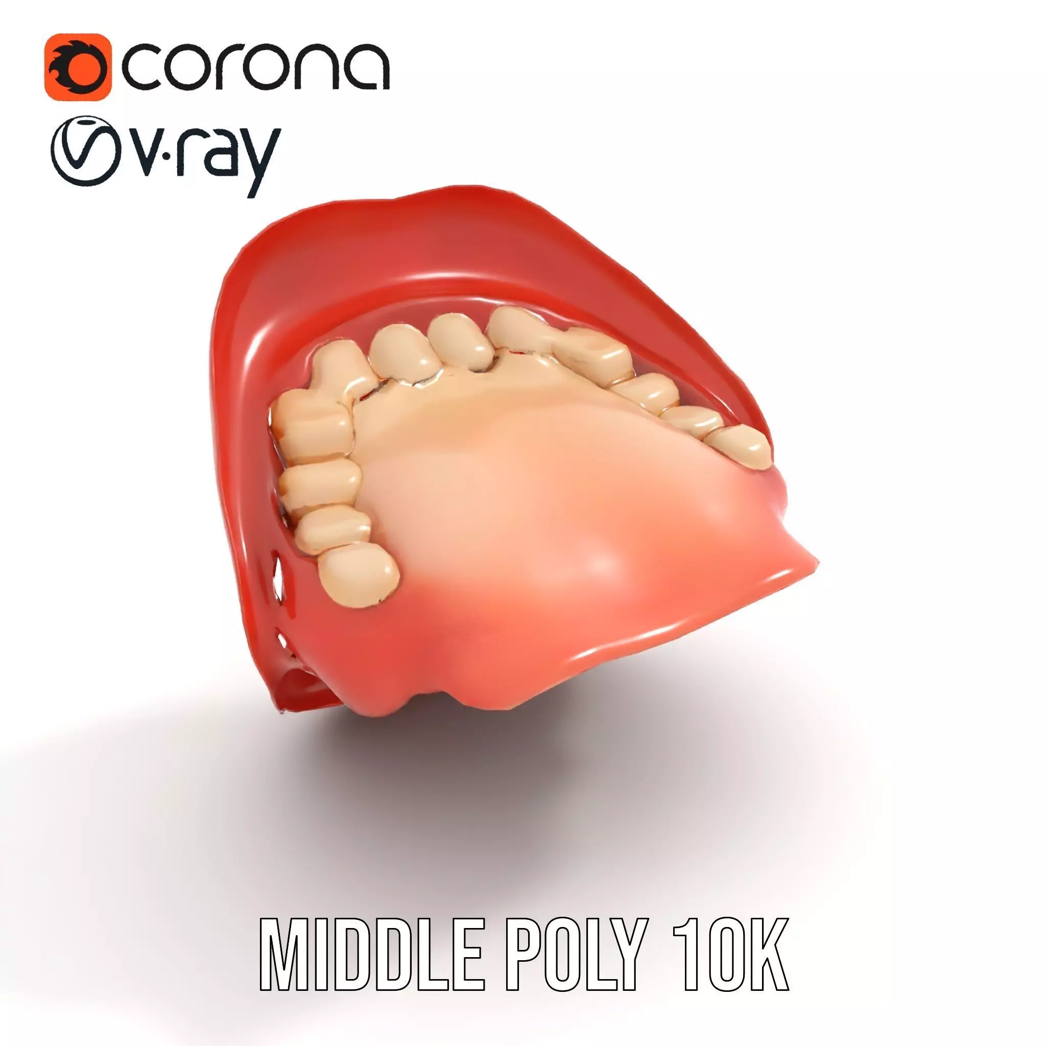 Realistic Human Mouth model pack Low-poly 3D model_14