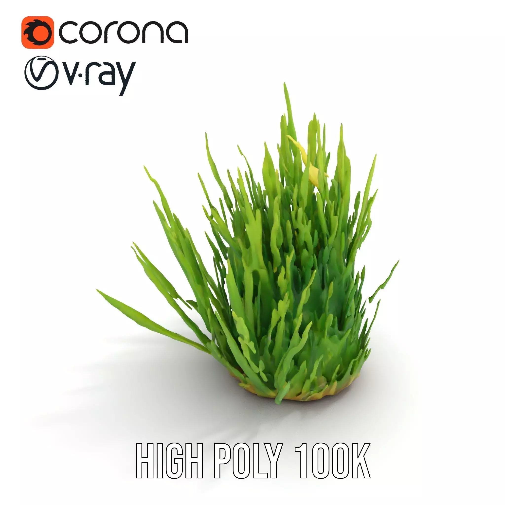 Vibrant Grass Cluster model pack Low-poly 3D model_29
