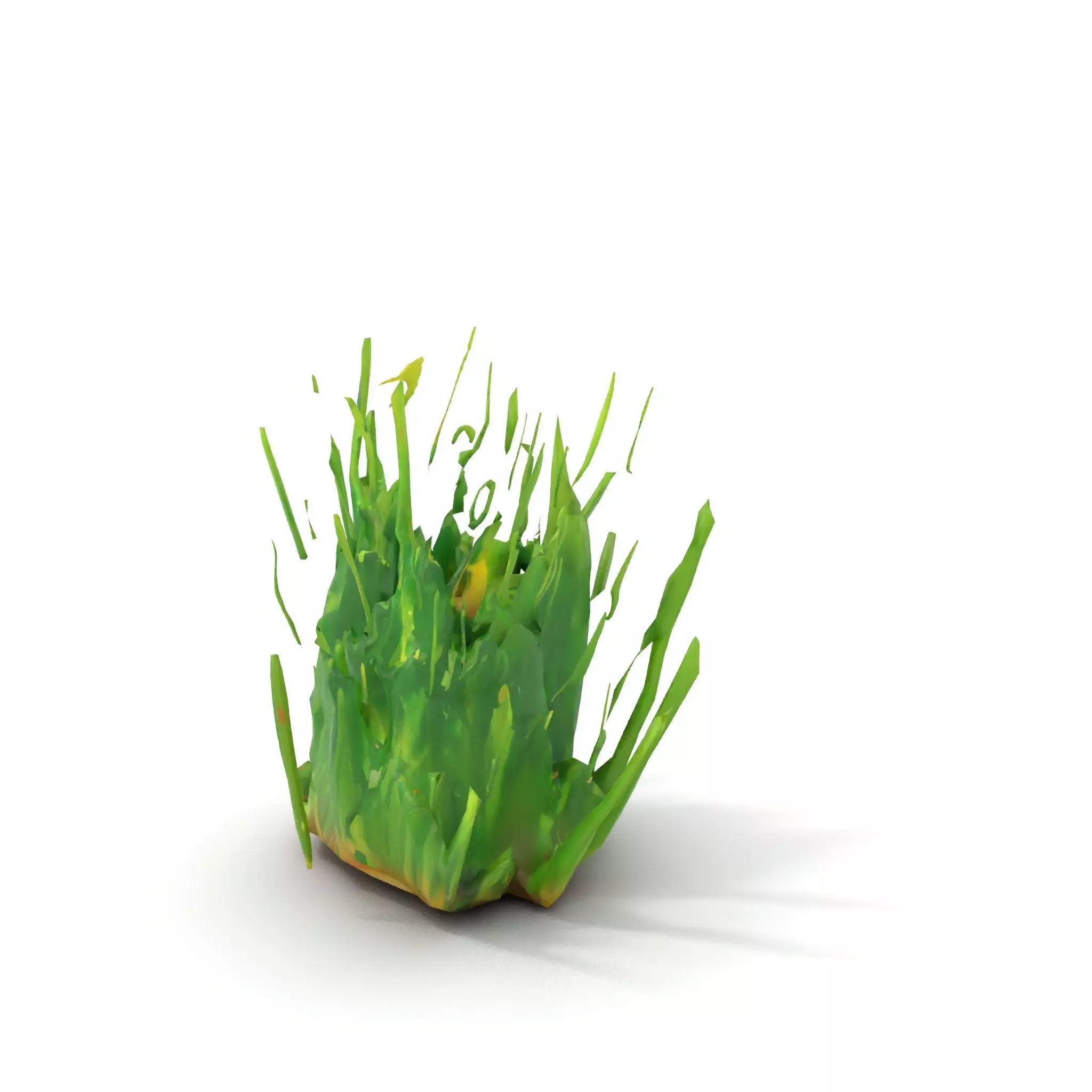 Vibrant Grass Cluster model pack Low-poly 3D model_15