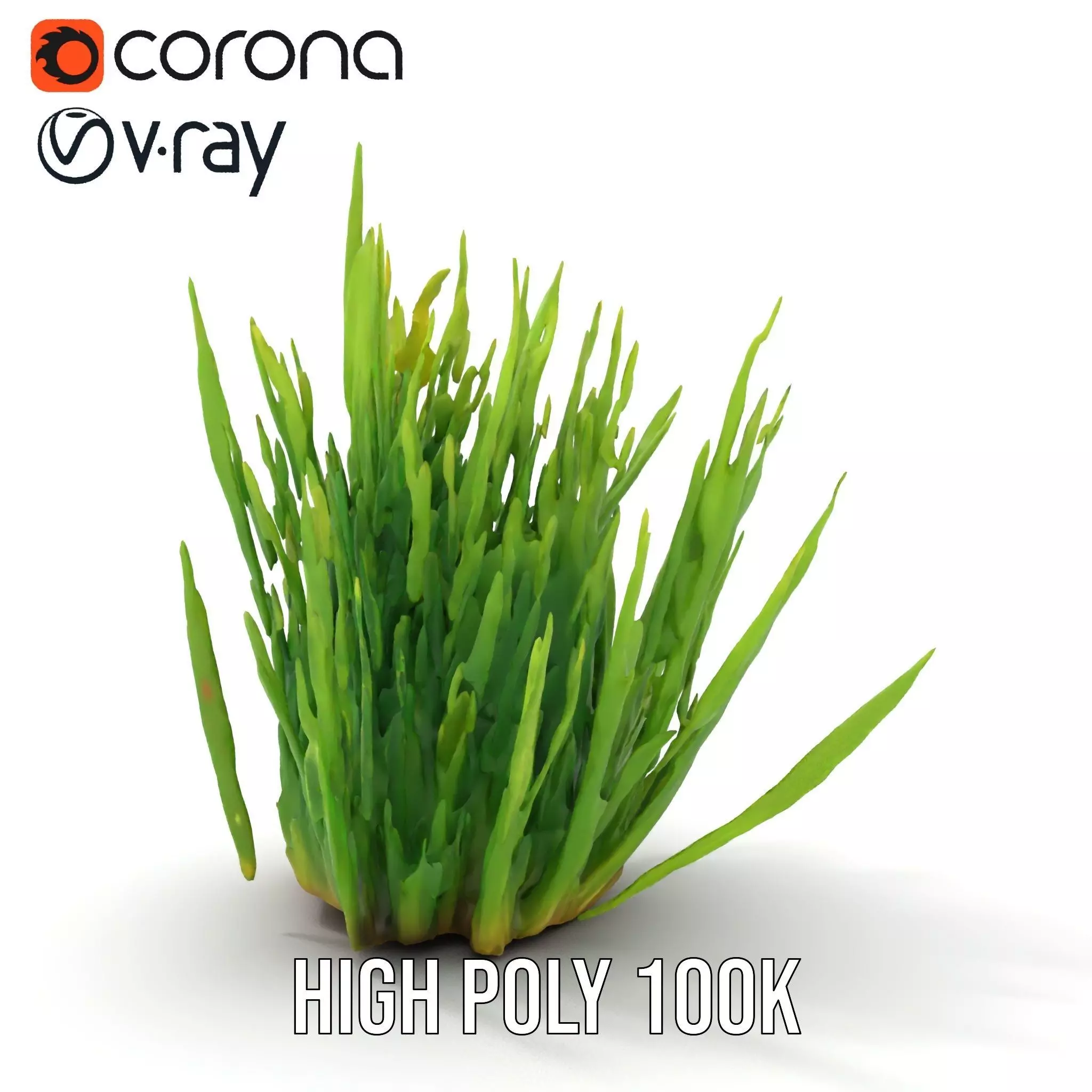 Vibrant Grass Cluster model pack Low-poly 3D model_16