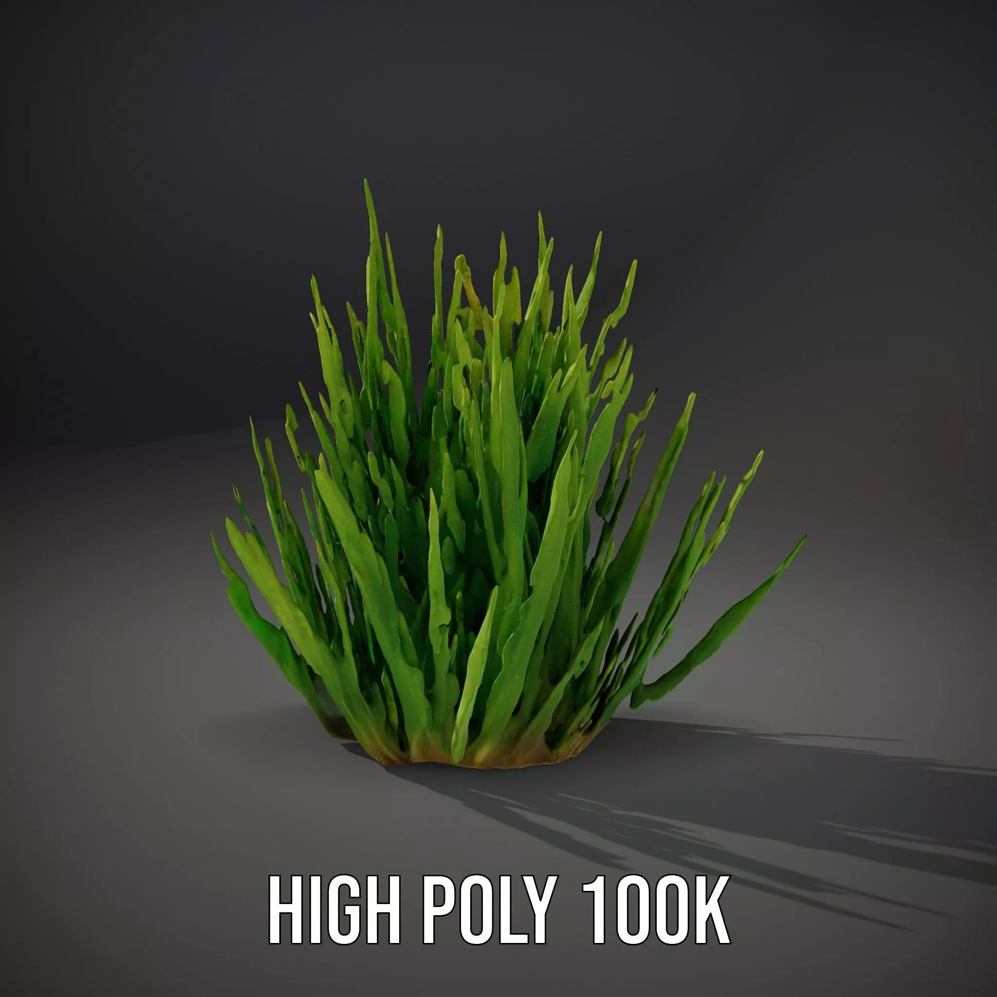 Vibrant Grass Cluster model pack Low-poly 3D model_11