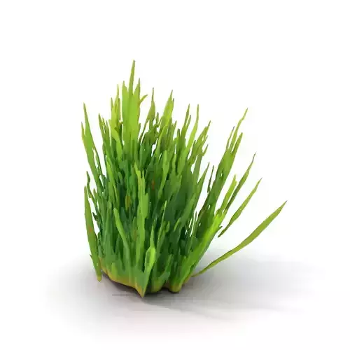Vibrant Grass Cluster model pack Low-poly 3D model