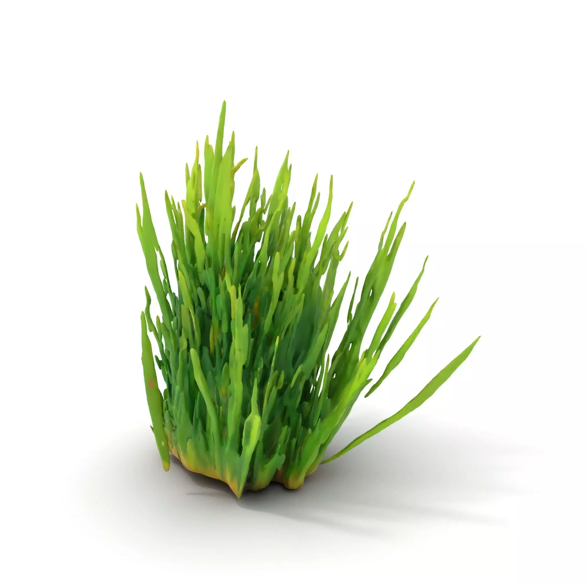 Vibrant Grass Cluster model pack Low-poly 3D model_0