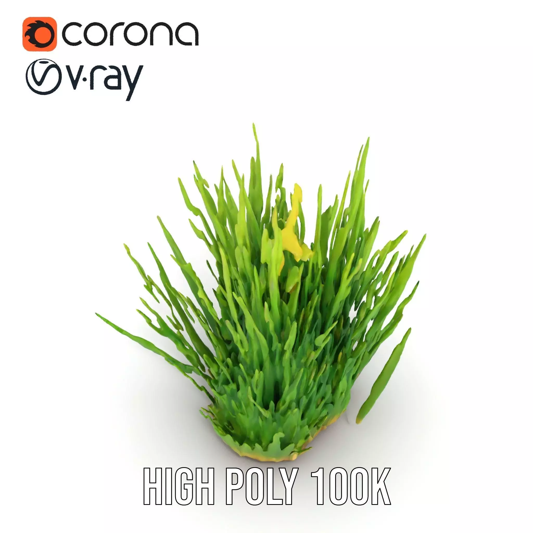 Vibrant Grass Cluster model pack Low-poly 3D model_17