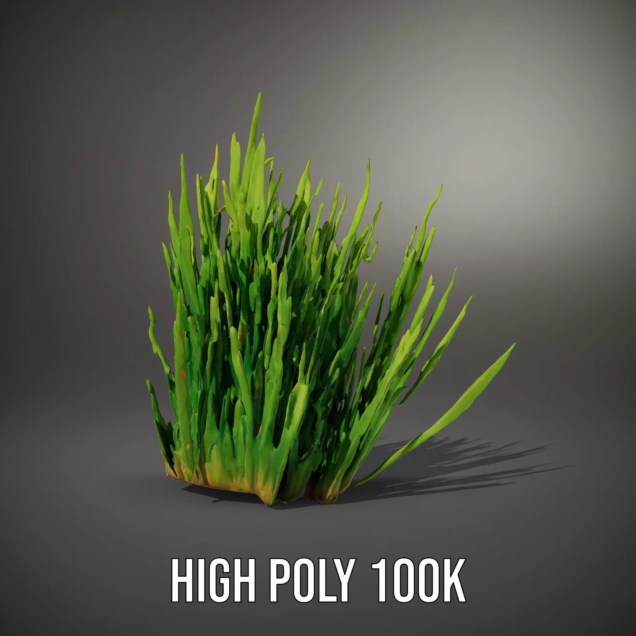 Vibrant Grass Cluster model pack Low-poly 3D model_9
