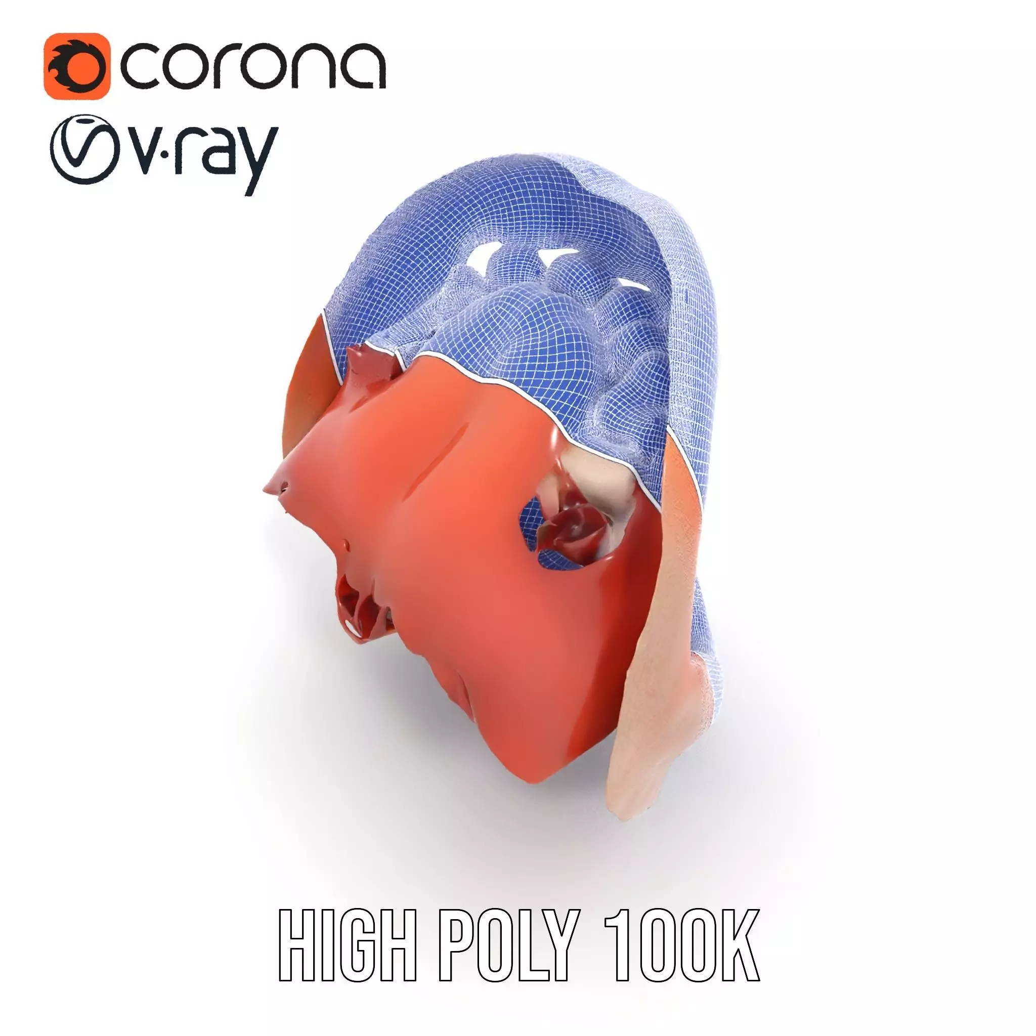 Realistic Human Mouth model pack Low-poly 3D model_33