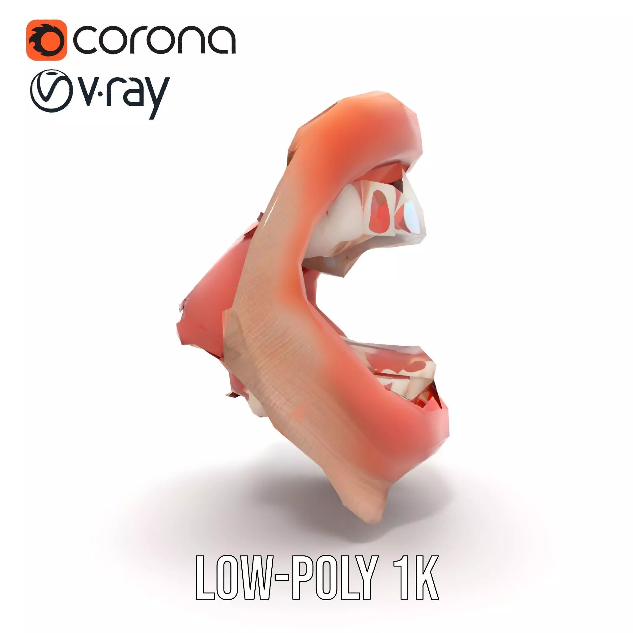 Realistic Human Mouth model pack Low-poly 3D model_10