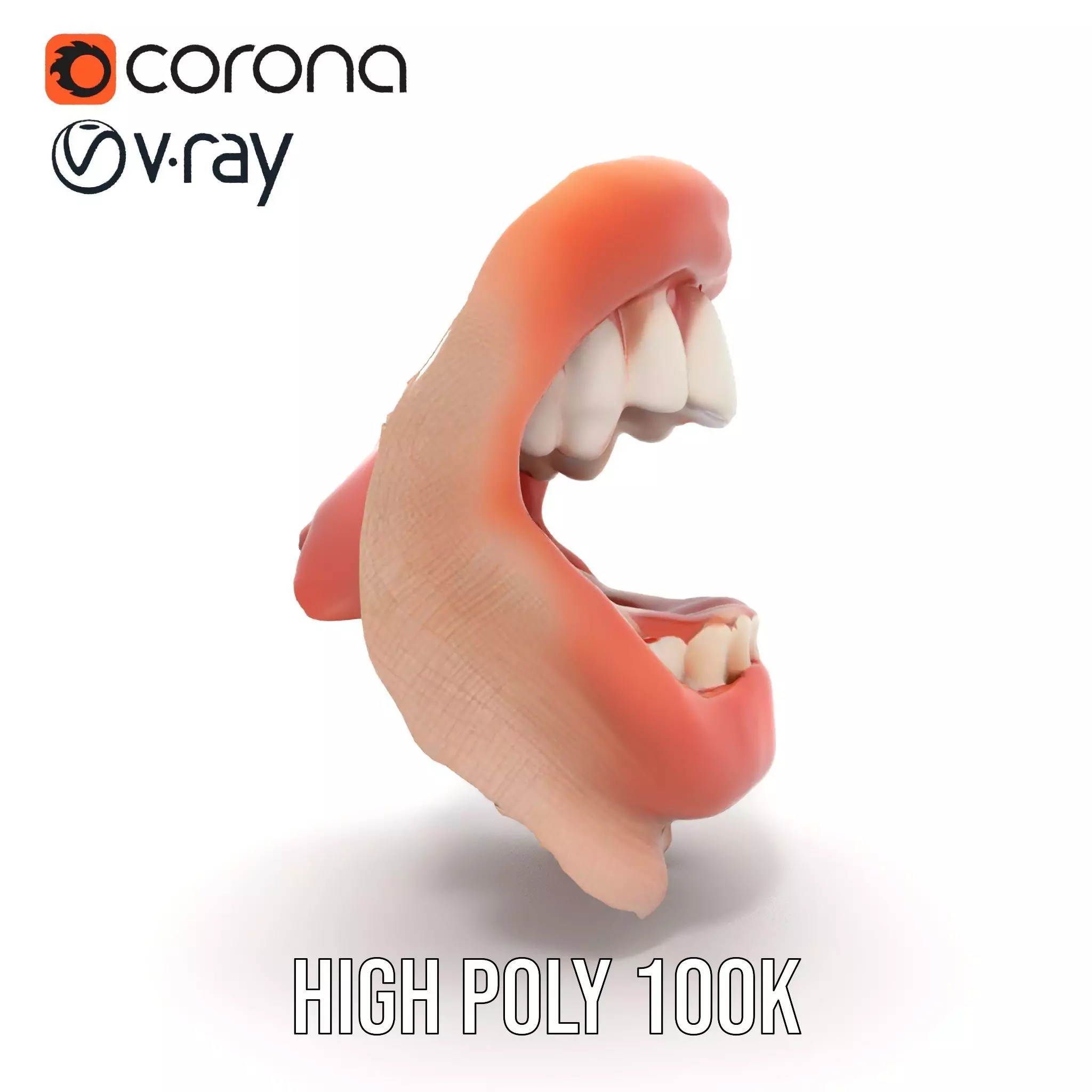 Realistic Human Mouth model pack Low-poly 3D model_21
