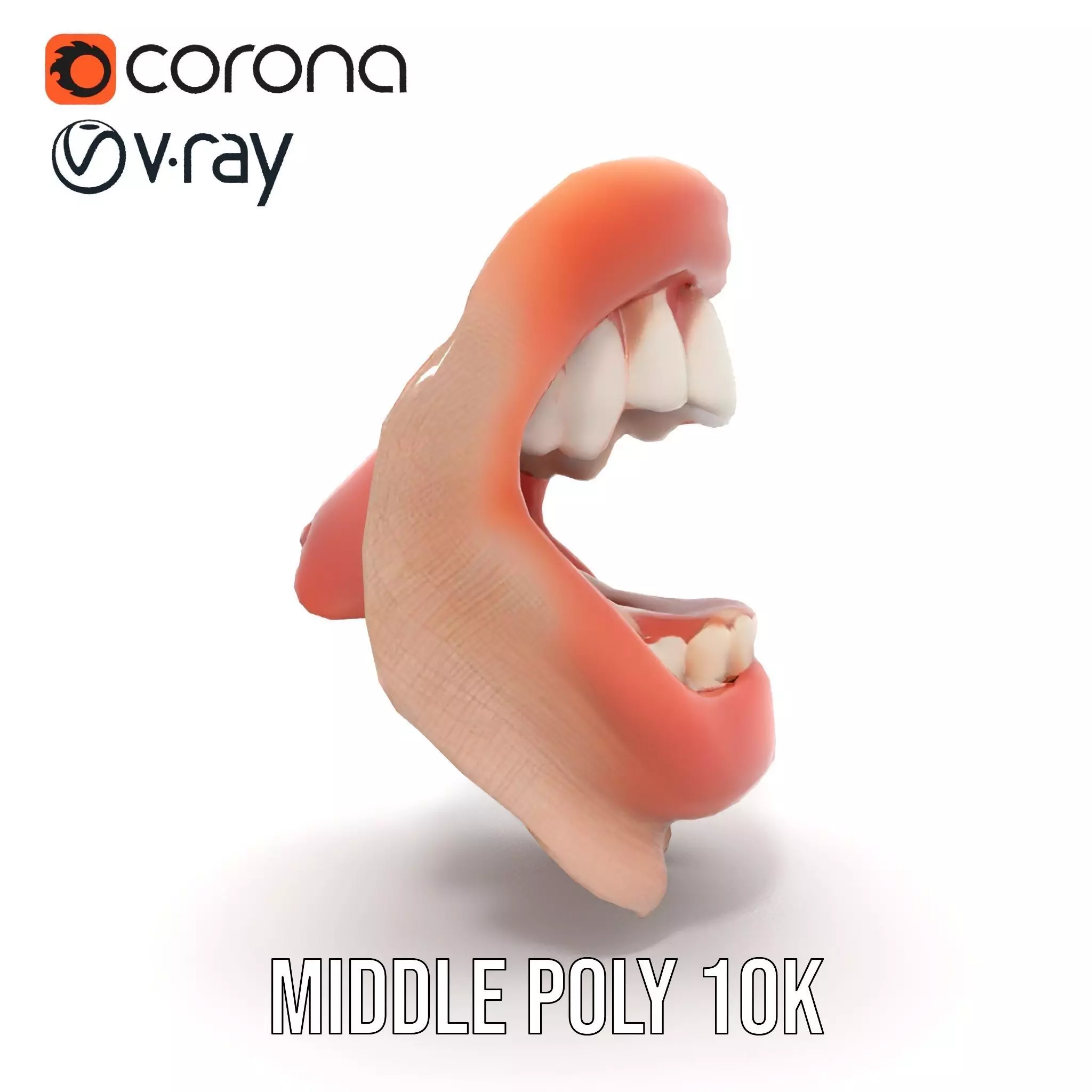 Realistic Human Mouth model pack Low-poly 3D model_19