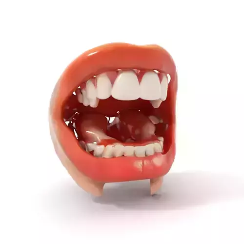 Realistic Human Mouth model pack Low-poly 3D model