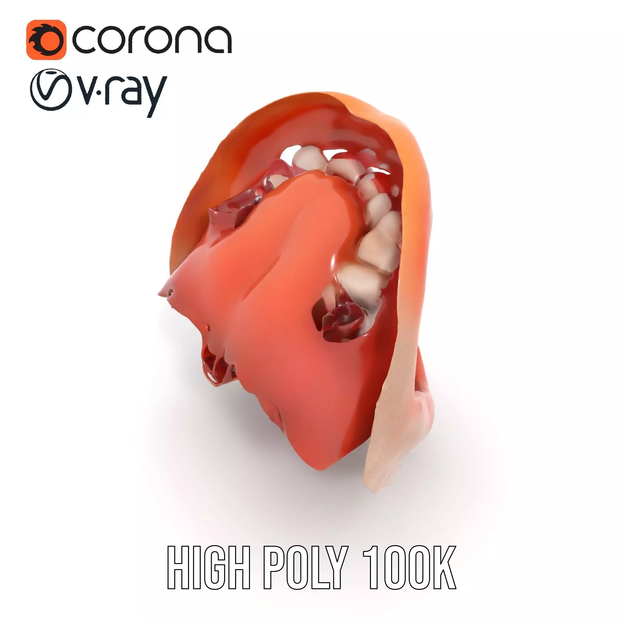 Realistic Human Mouth model pack Low-poly 3D model_24