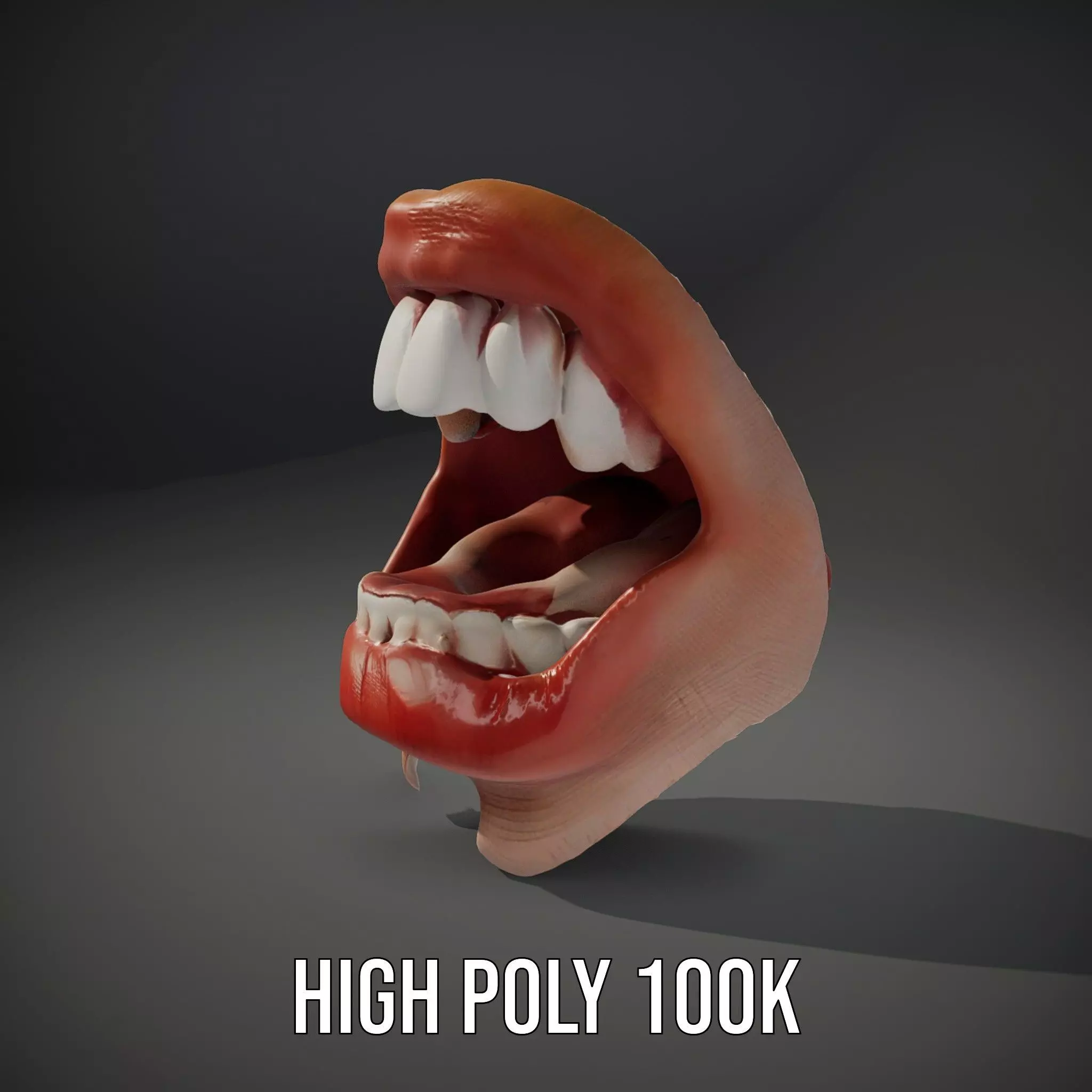 Realistic Human Mouth model pack Low-poly 3D model_11