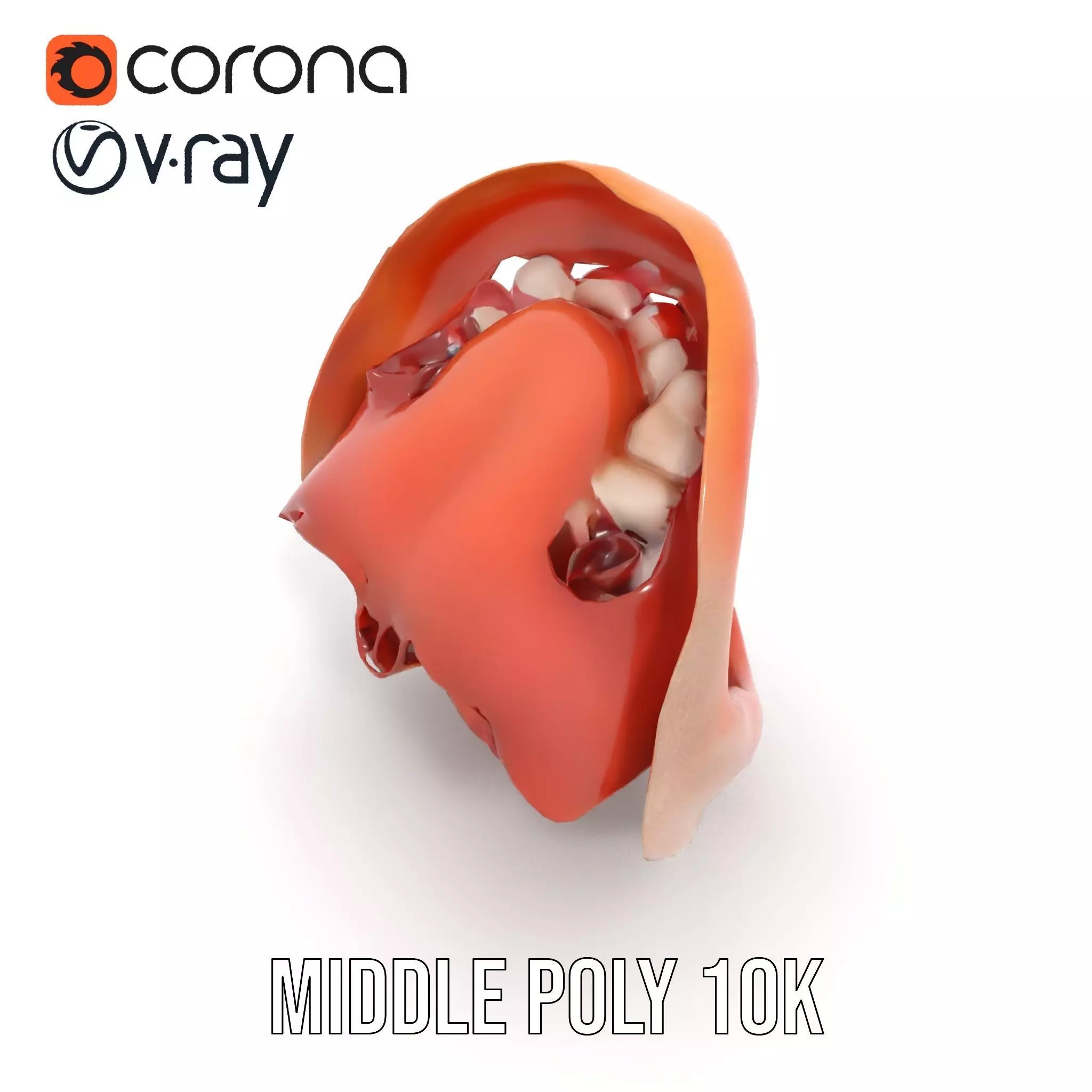 Realistic Human Mouth model pack Low-poly 3D model_17