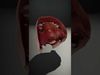 Realistic Human Mouth model pack Low-poly 3D model_2