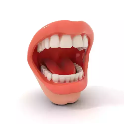 Dynamic Open Mouth model pack Low-poly 3D model