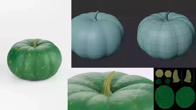 Pumpkin 3D Model  3D model 4