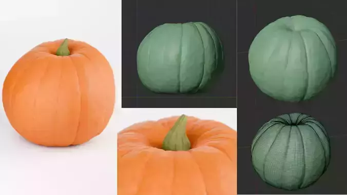 Pumpkin 3D Model  3D model 3