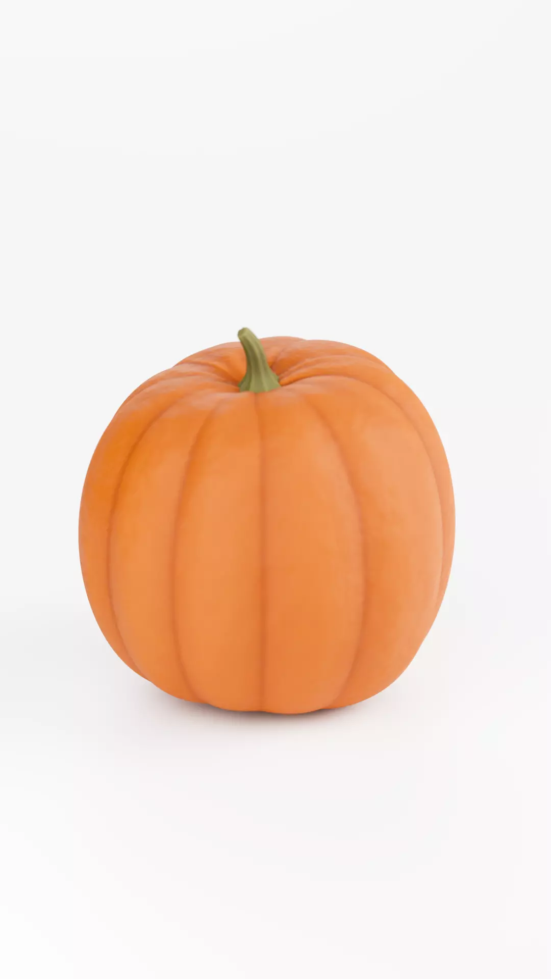  Pumpkin 3D Model  3D model_9