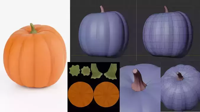 Pumpkin 3D Model  3D model 5