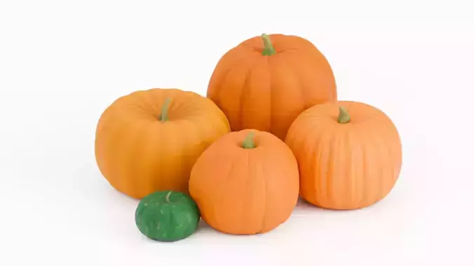  Pumpkin 3D Model  3D model