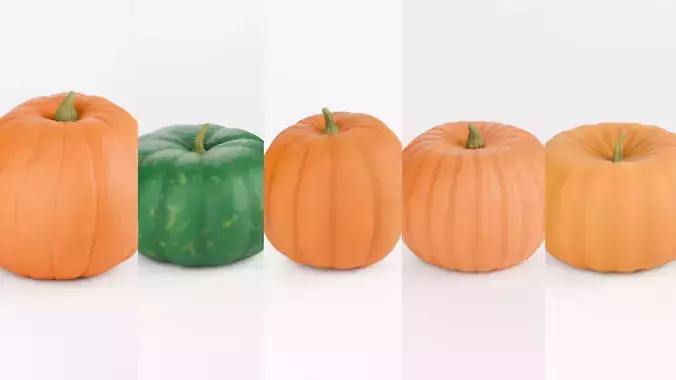 Pumpkin 3D Model  3D model 2