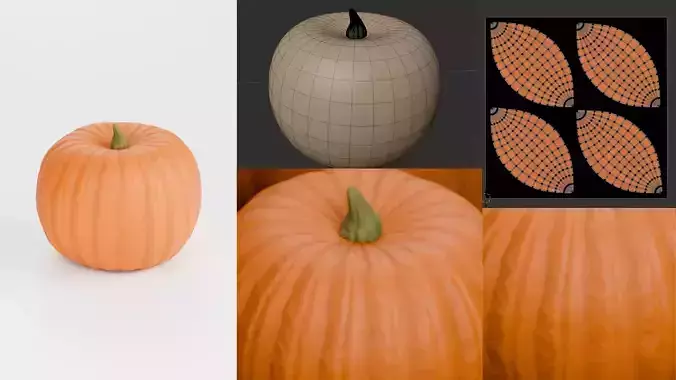 Pumpkin 3D Model  3D model 7