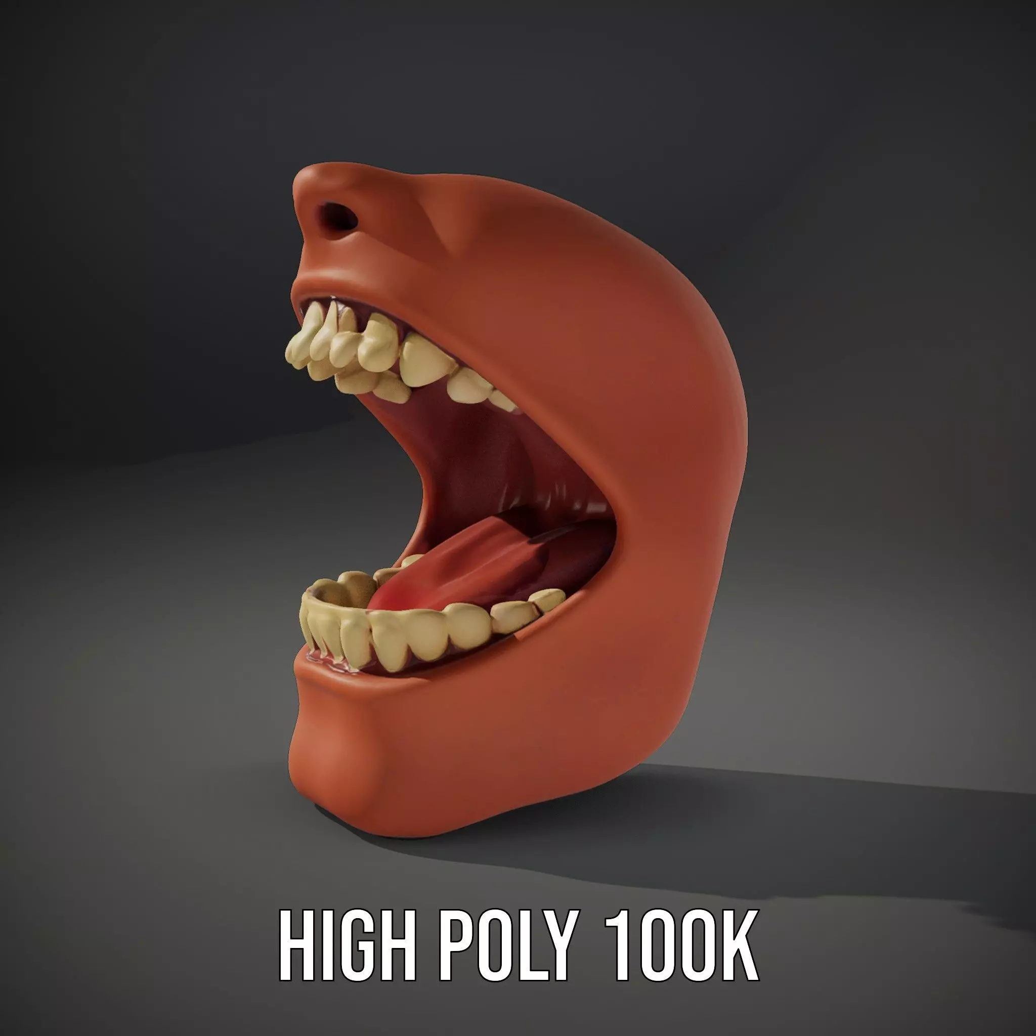 Realistic Human Mouth model pack Low-poly 3D model_11