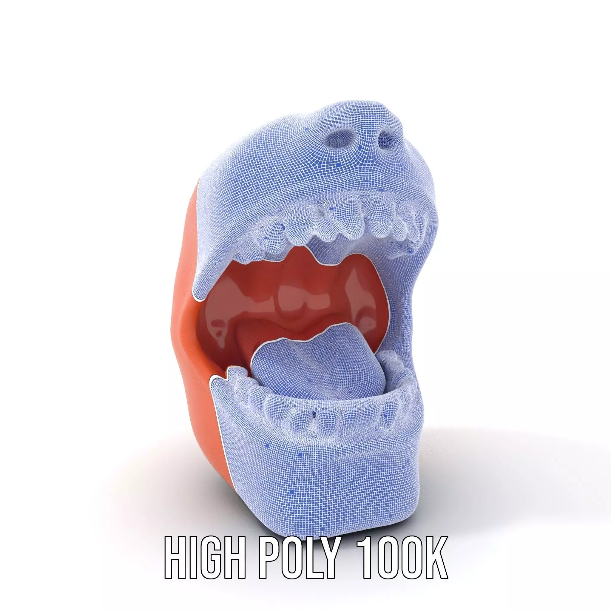 Realistic Human Mouth model pack Low-poly 3D model_5