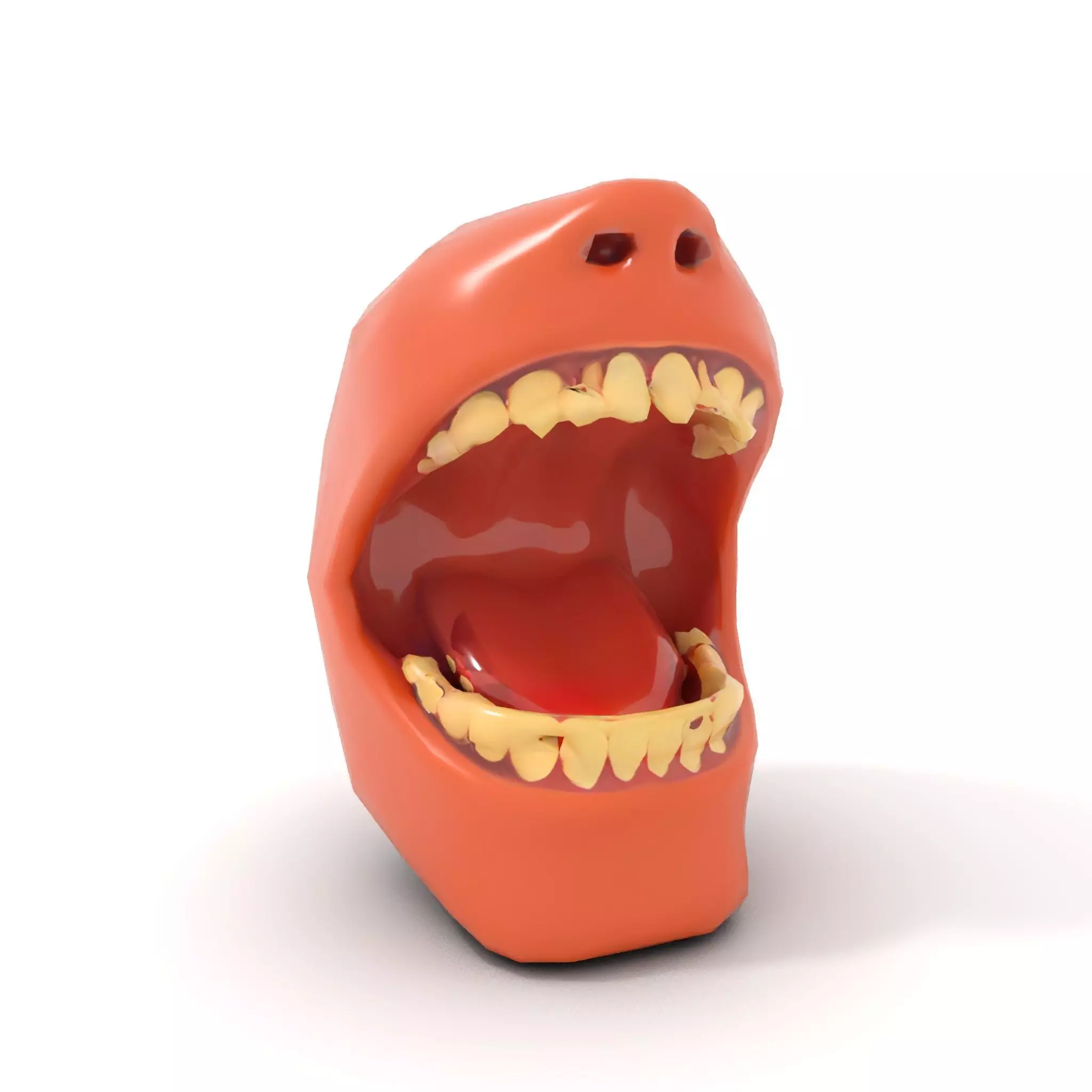 Realistic Human Mouth model pack Low-poly 3D model_8