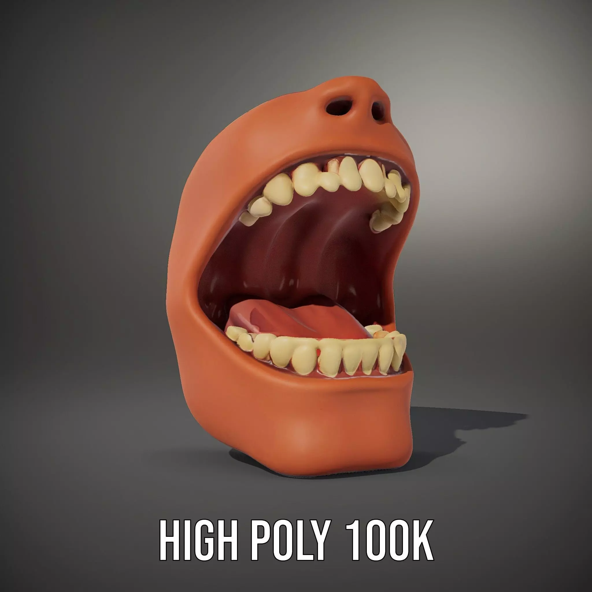 Realistic Human Mouth model pack Low-poly 3D model_9