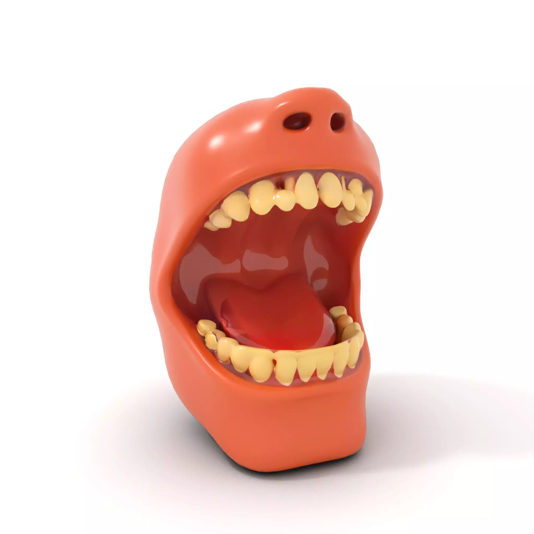 Realistic Human Mouth model pack Low-poly 3D model_7