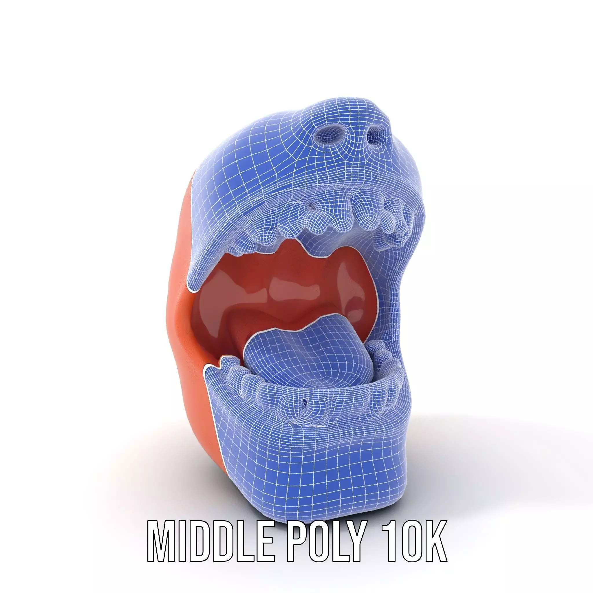 Realistic Human Mouth model pack Low-poly 3D model_6