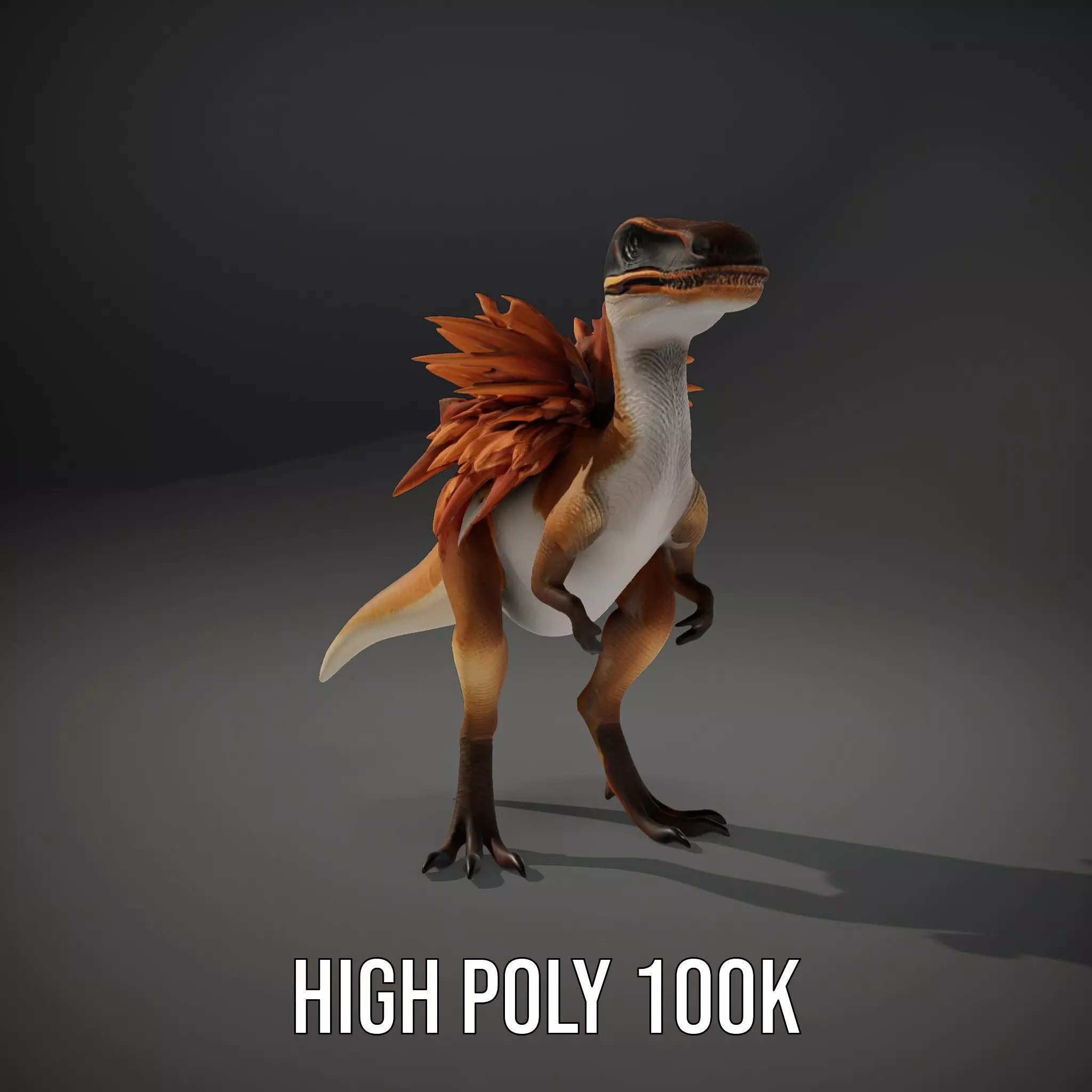 Feathered Dinosaur model pack Low-poly 3D model_9