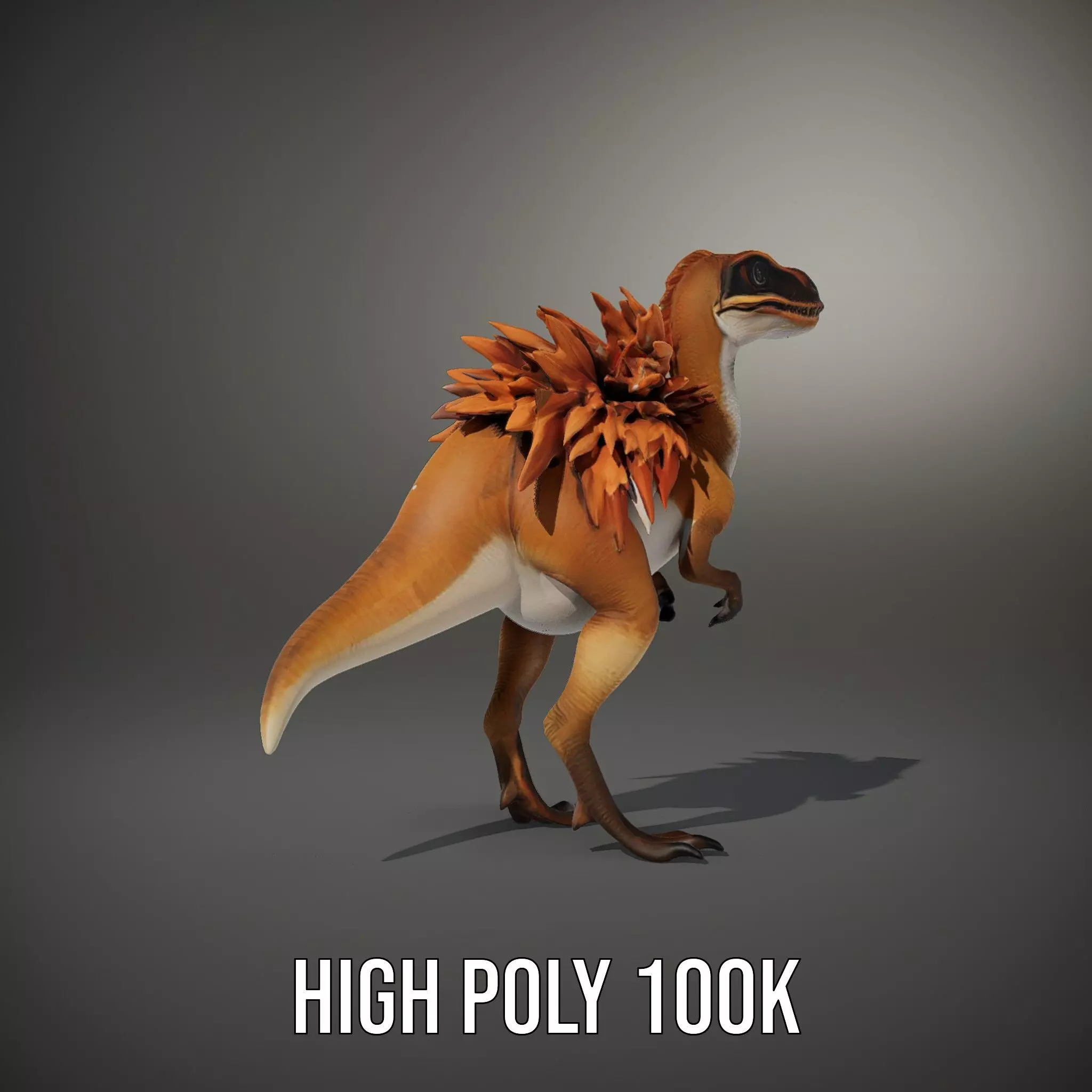 Feathered Dinosaur model pack Low-poly 3D model_11