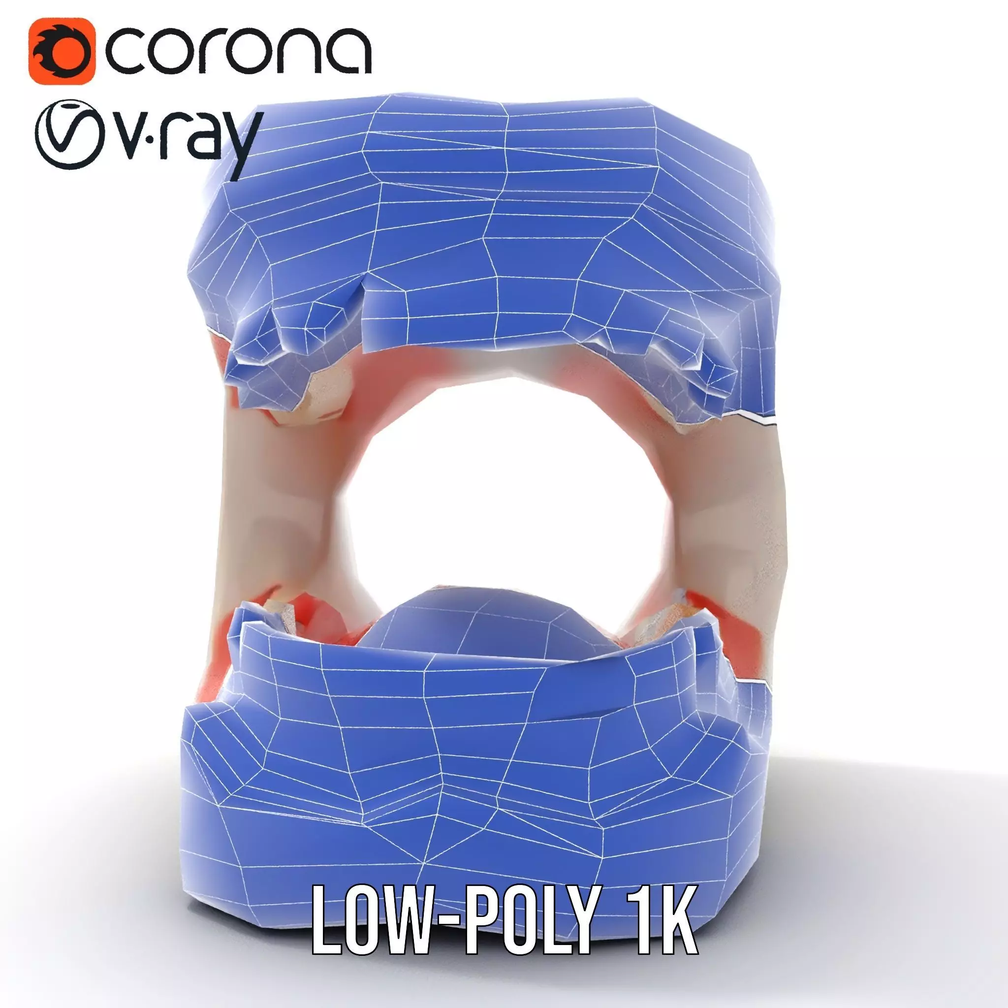 White Dental Model model pack Low-poly 3D model_31