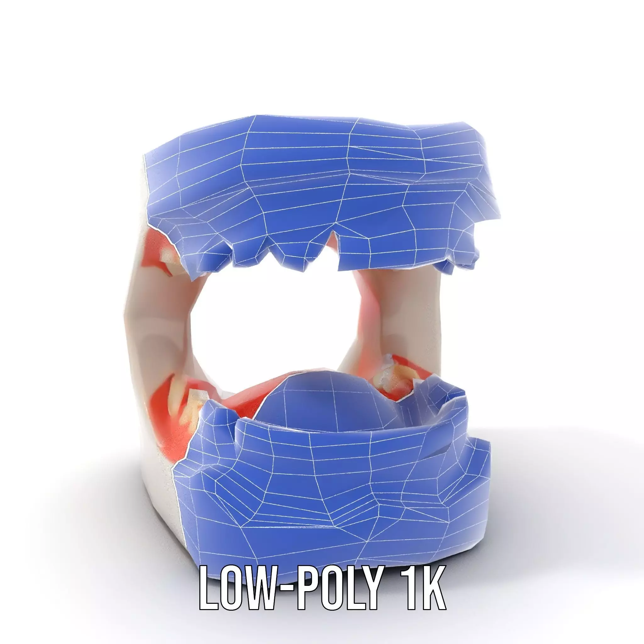 White Dental Model model pack Low-poly 3D model_9