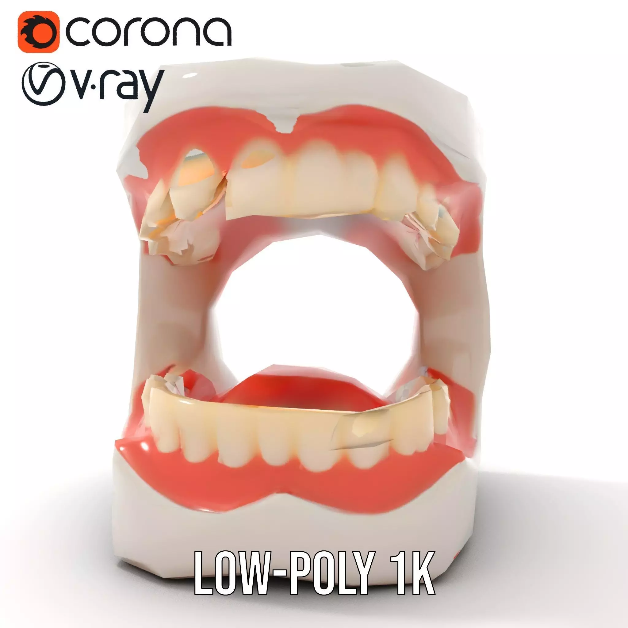 White Dental Model model pack Low-poly 3D model_17