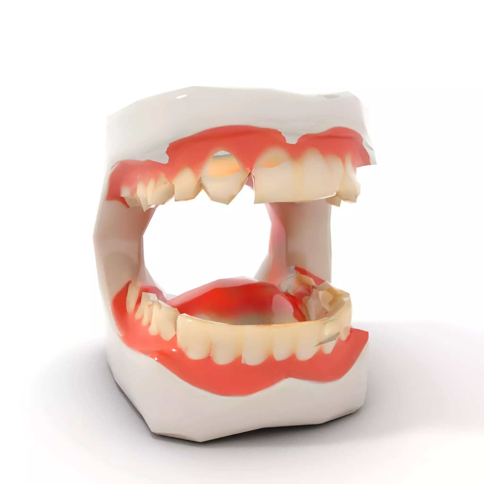 White Dental Model model pack Low-poly 3D model_7