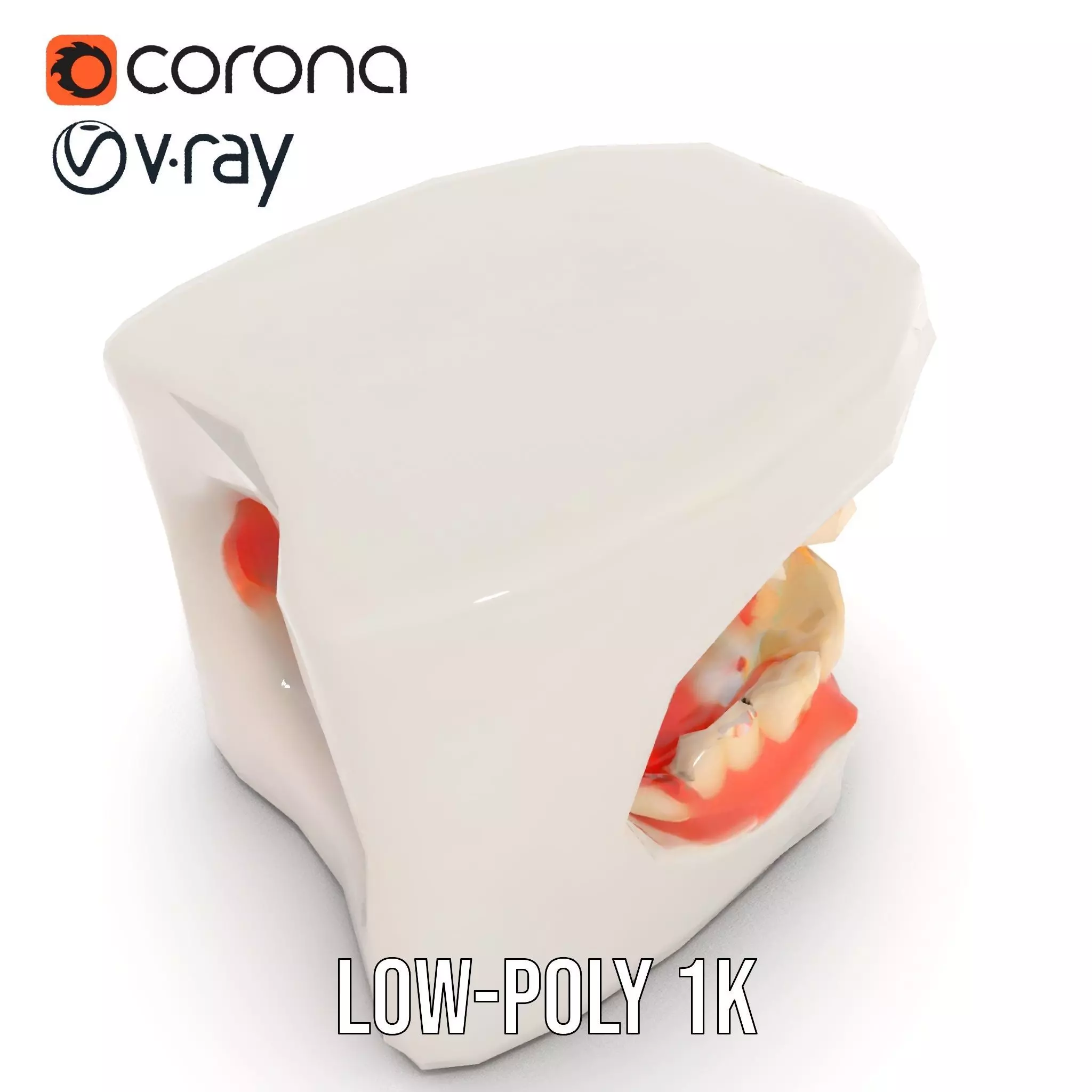 White Dental Model model pack Low-poly 3D model_12