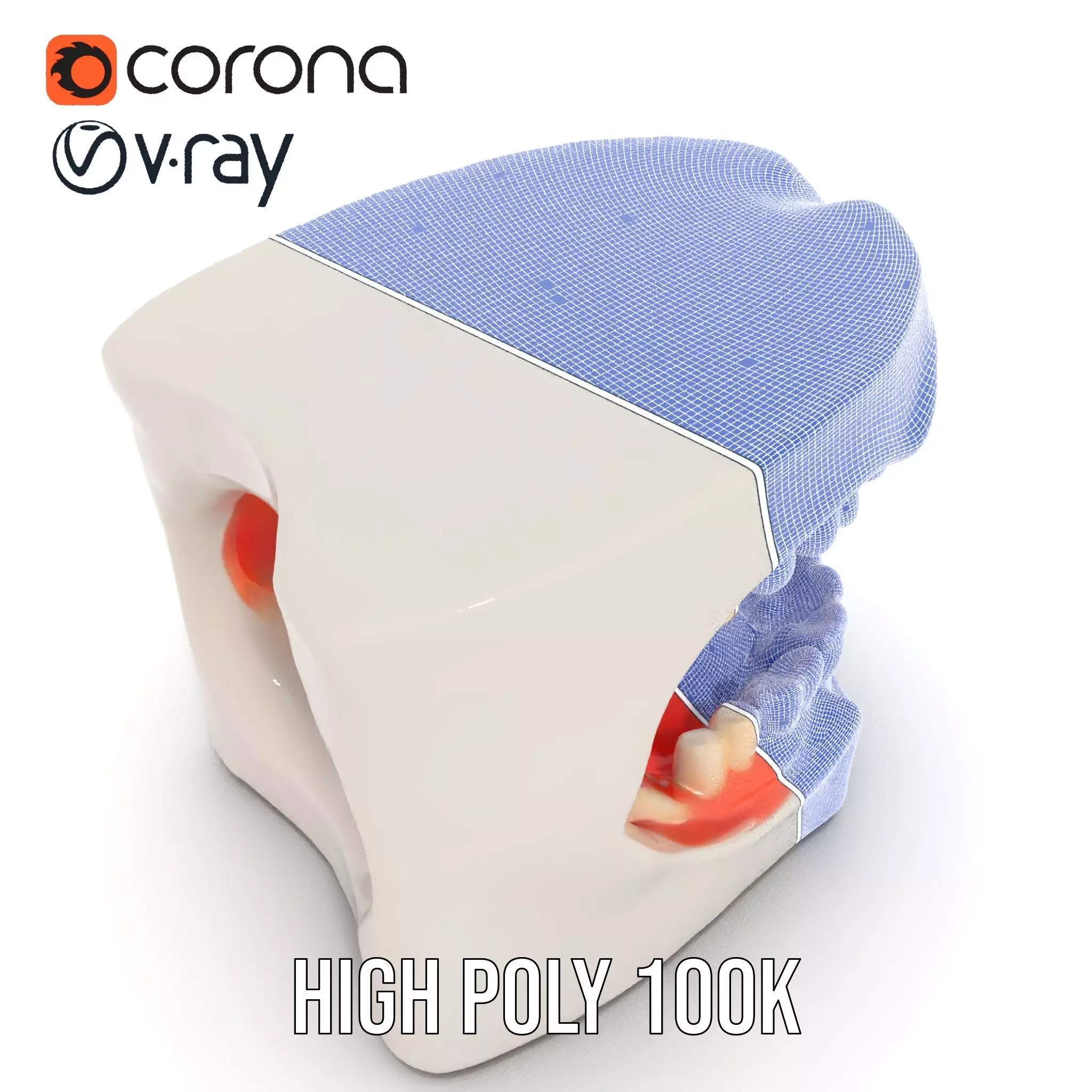 White Dental Model model pack Low-poly 3D model_26