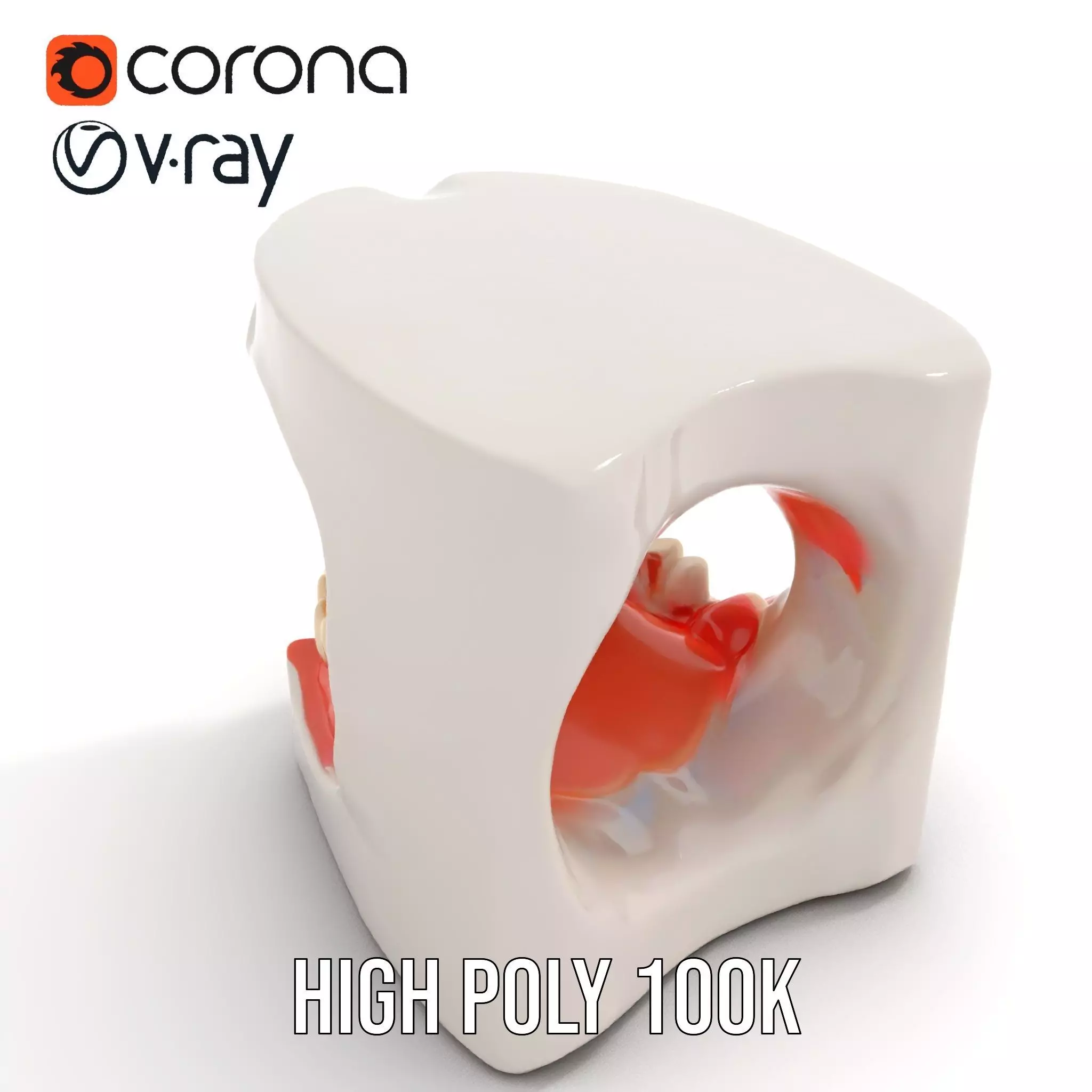 White Dental Model model pack Low-poly 3D model_15