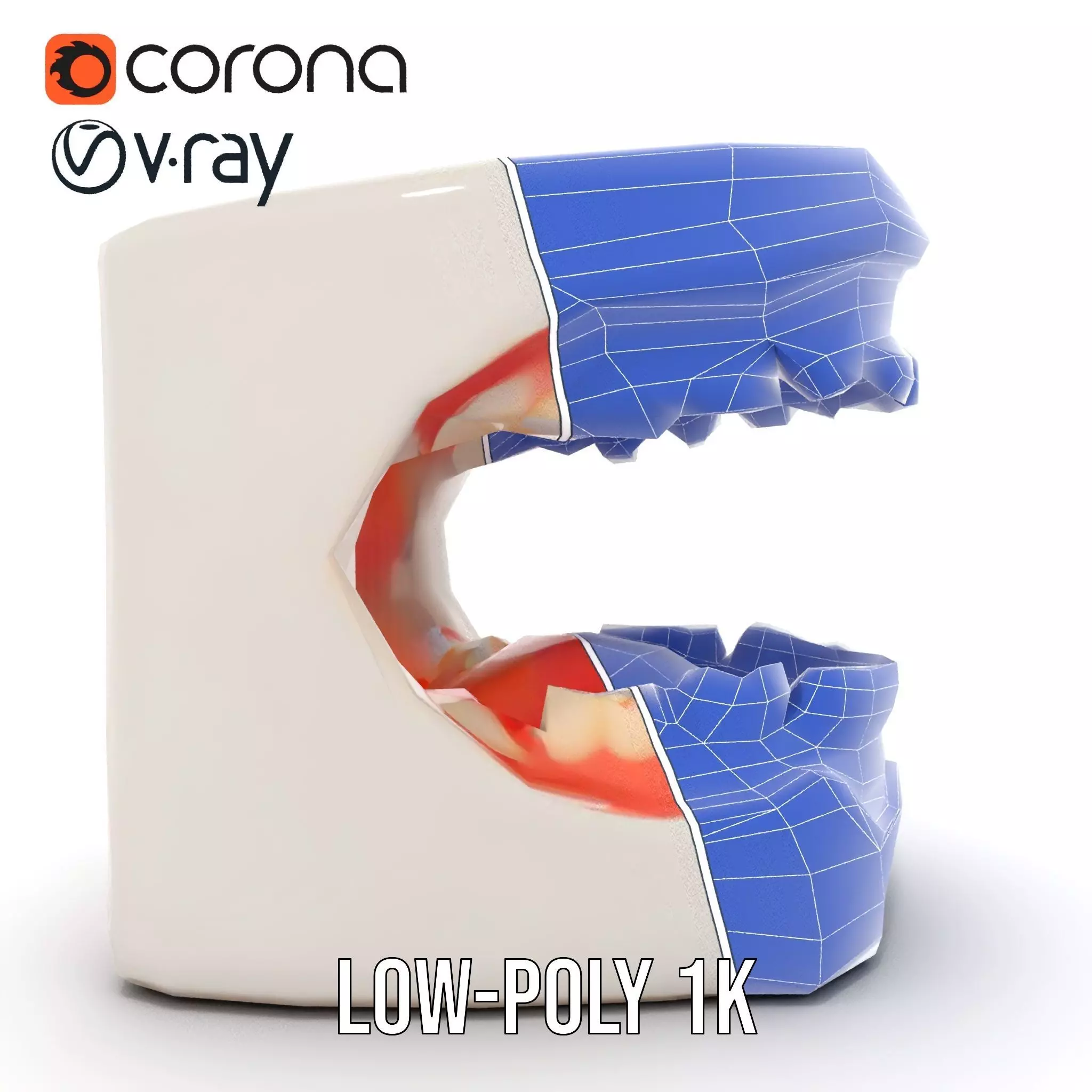 White Dental Model model pack Low-poly 3D model_28