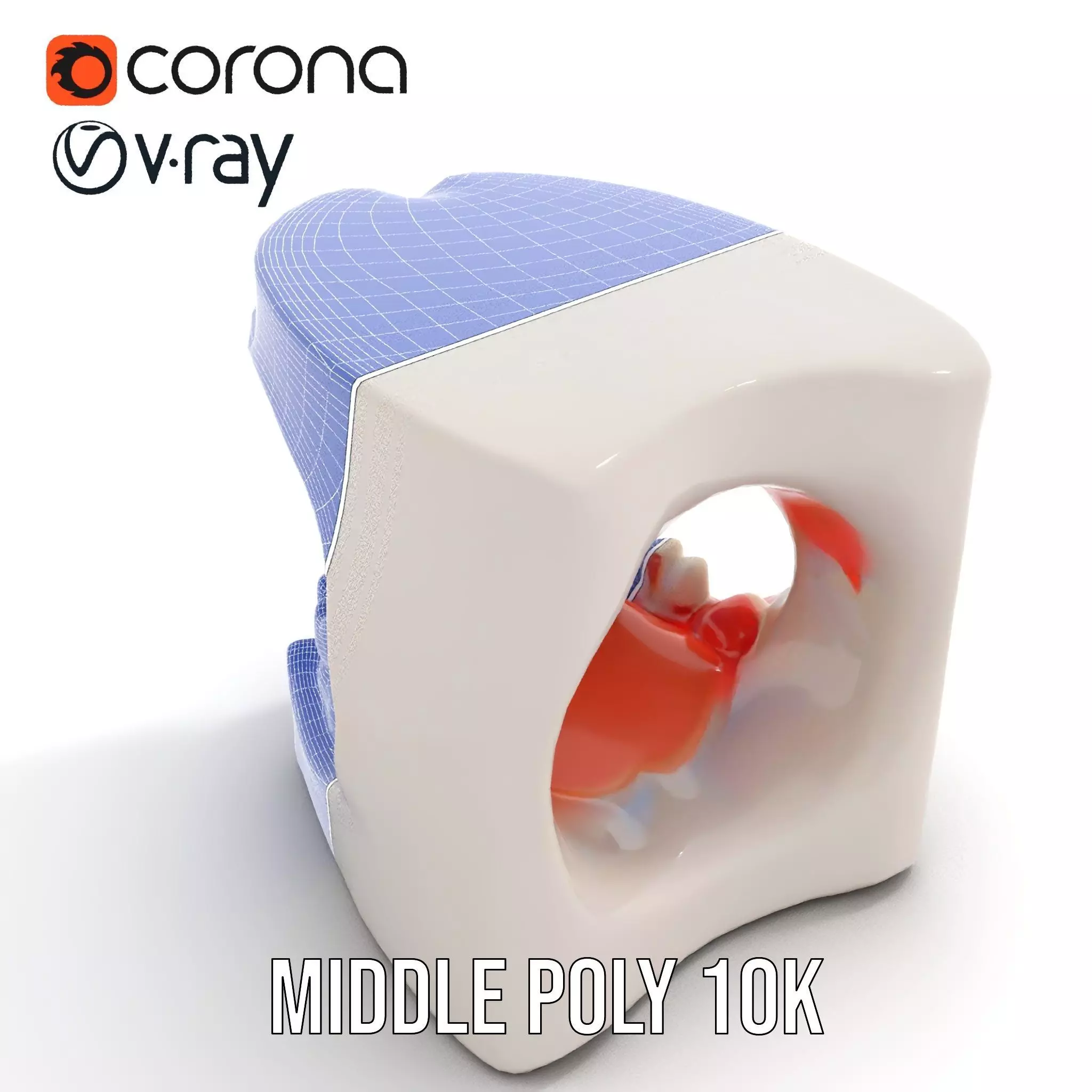 White Dental Model model pack Low-poly 3D model_24