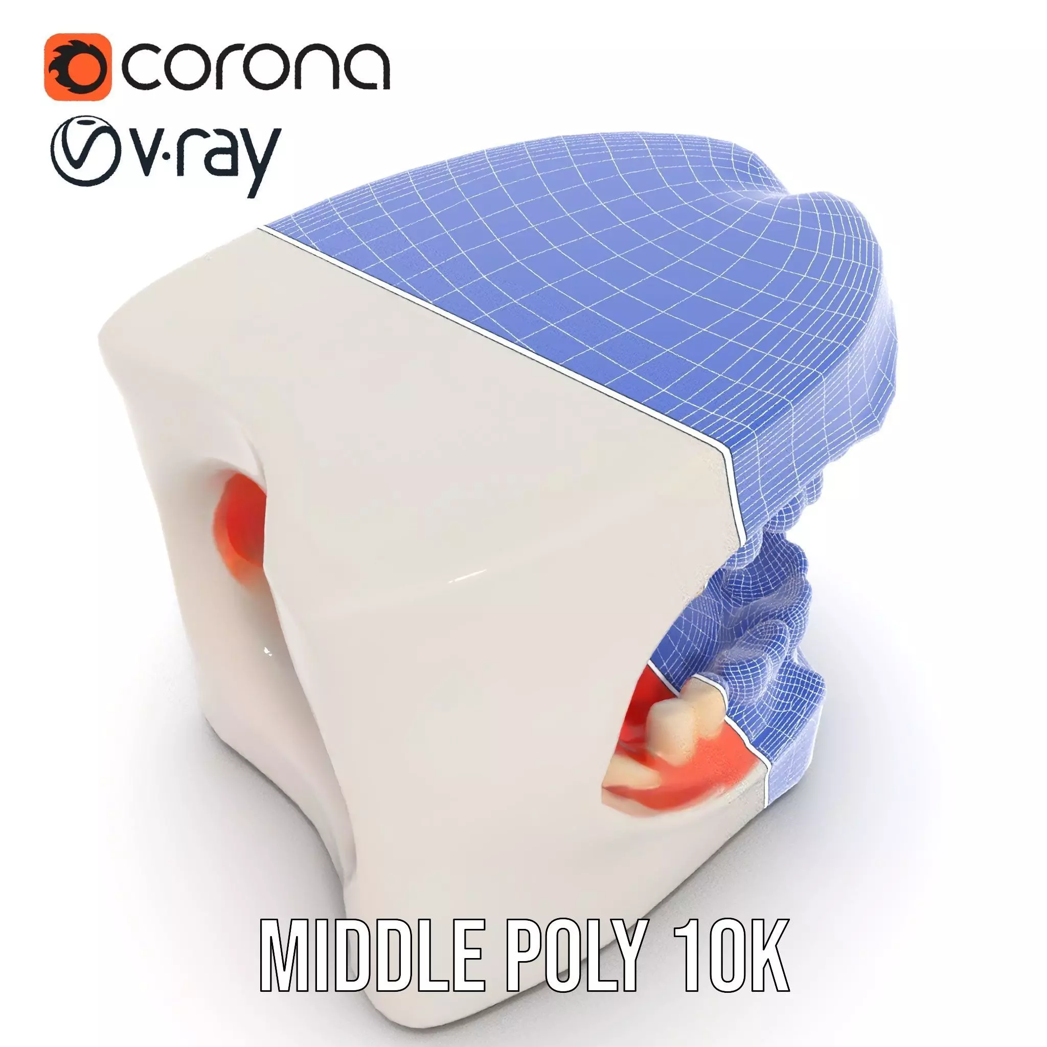 White Dental Model model pack Low-poly 3D model_27