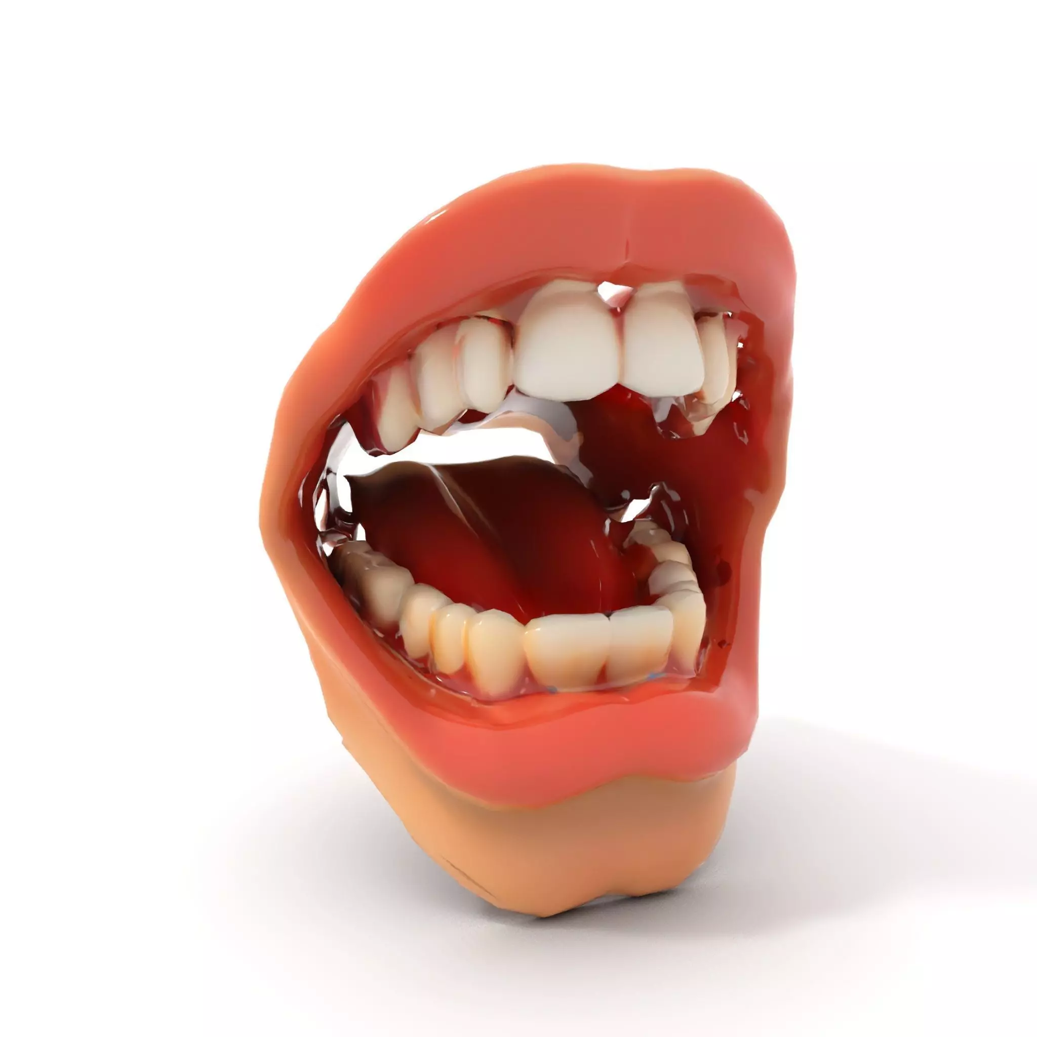 Realistic Human Mouth model pack Low-poly 3D model_10