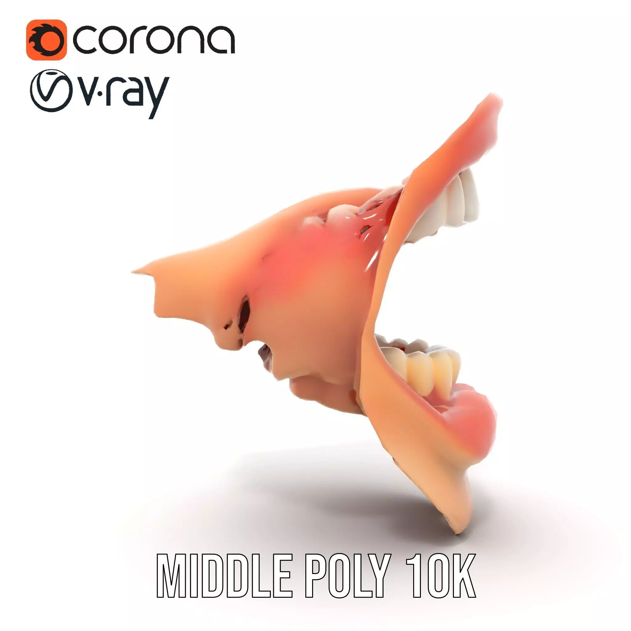 Realistic Human Mouth model pack Low-poly 3D model_24