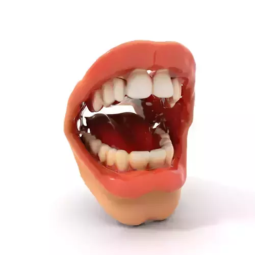 Realistic Human Mouth model pack Low-poly 3D model