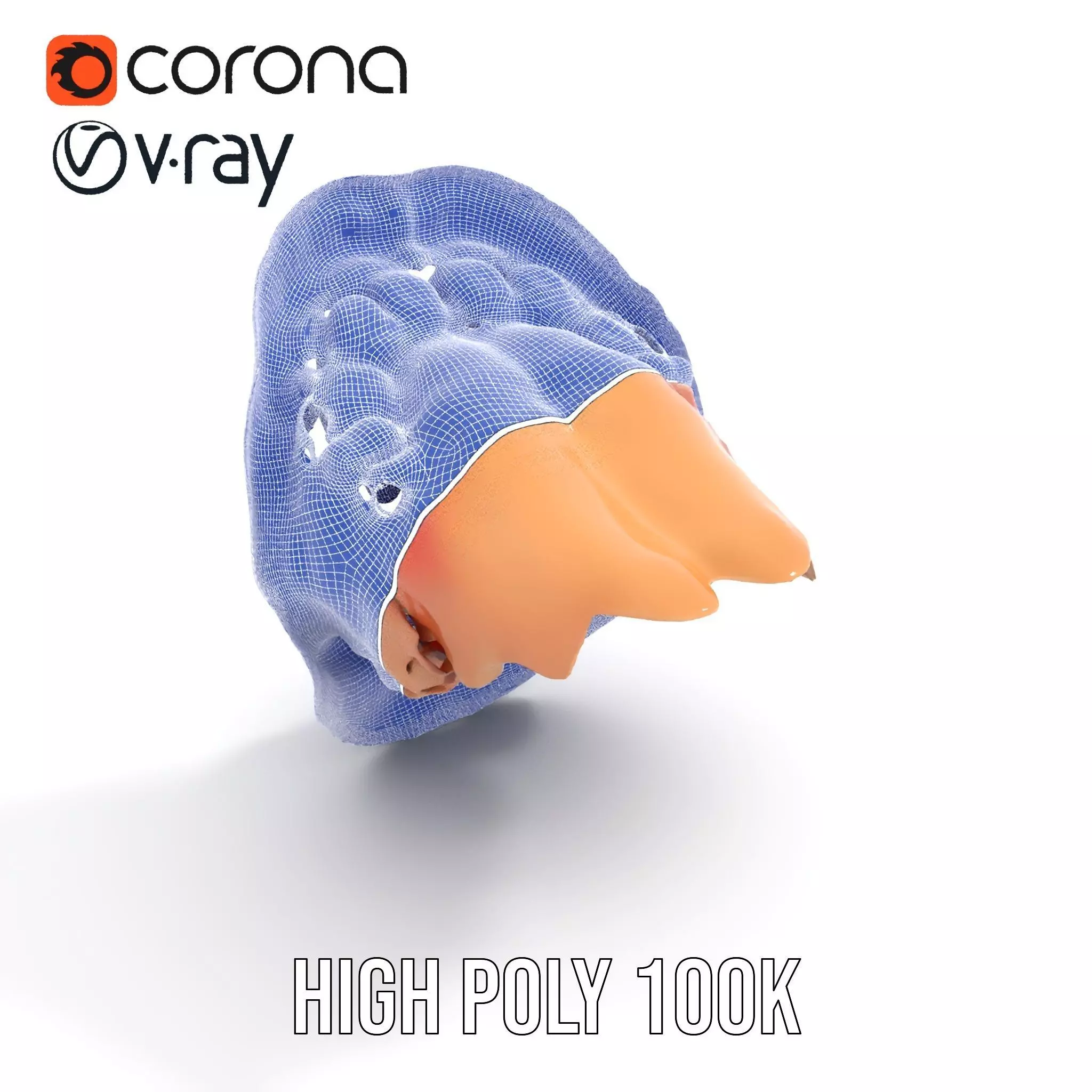 Realistic Human Mouth model pack Low-poly 3D model_34