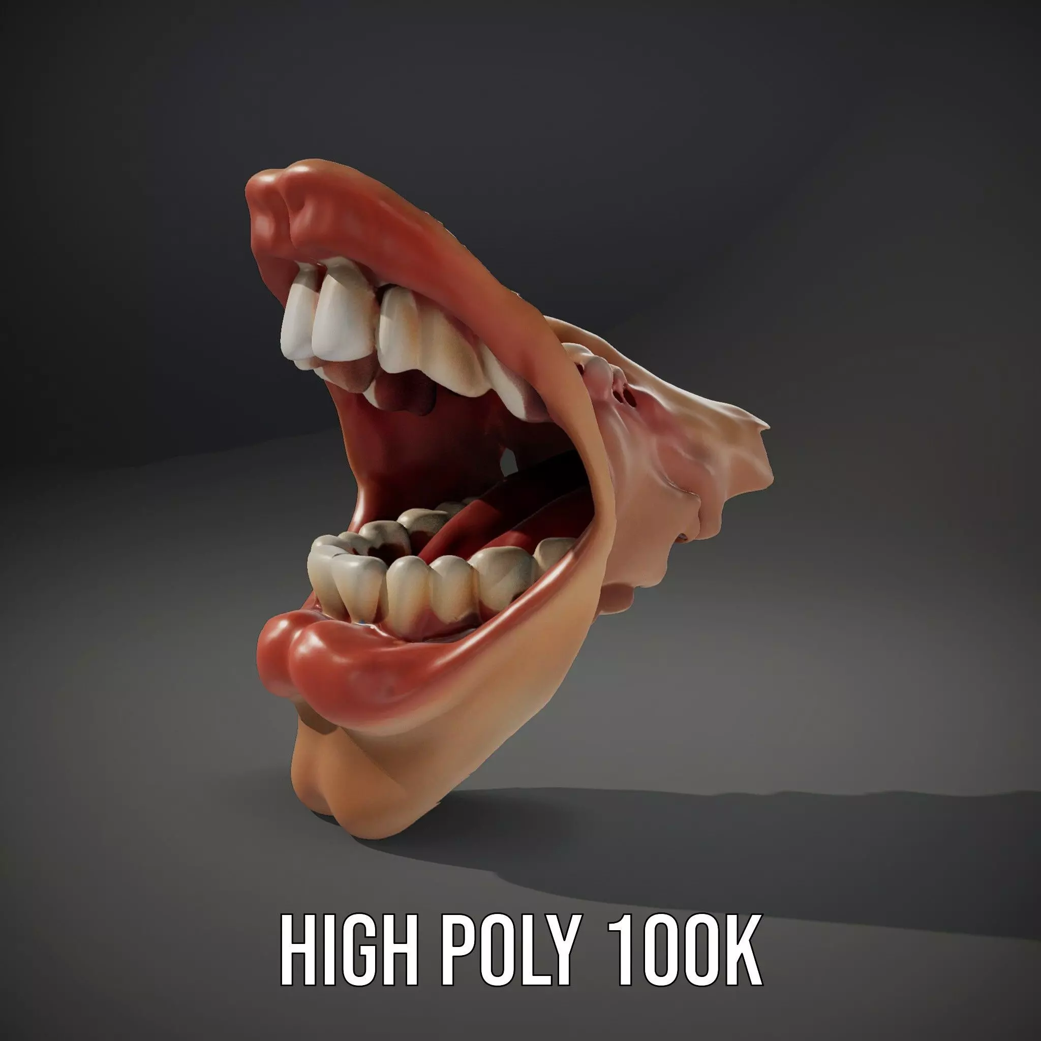 Realistic Human Mouth model pack Low-poly 3D model_12